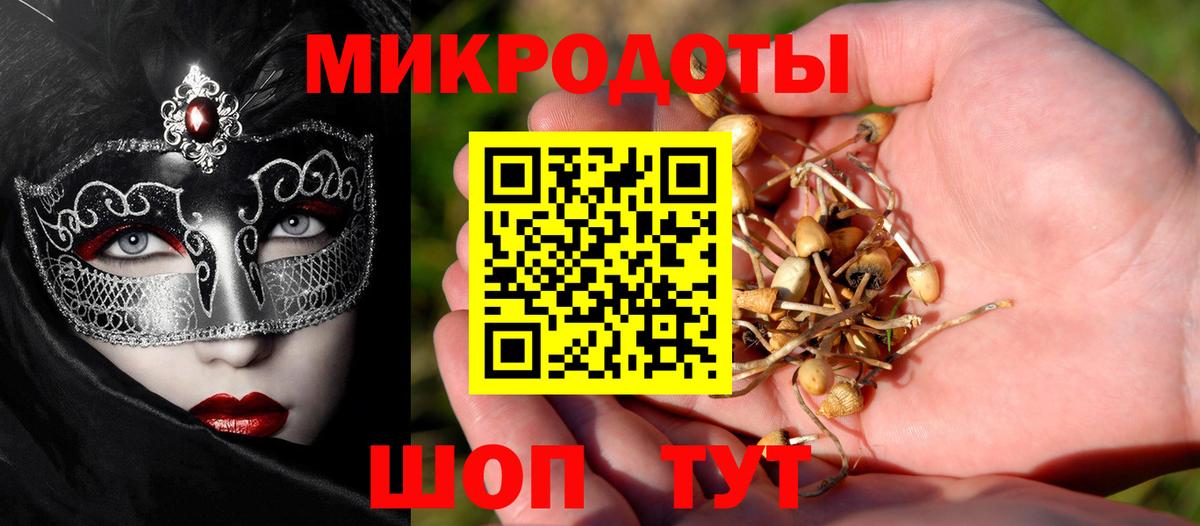 Галлюциногенные грибы GOLDEN TEACHER  Псилоцибиновые грибы Psilocybine cubensis  Вход с VPN  Майкоп 
