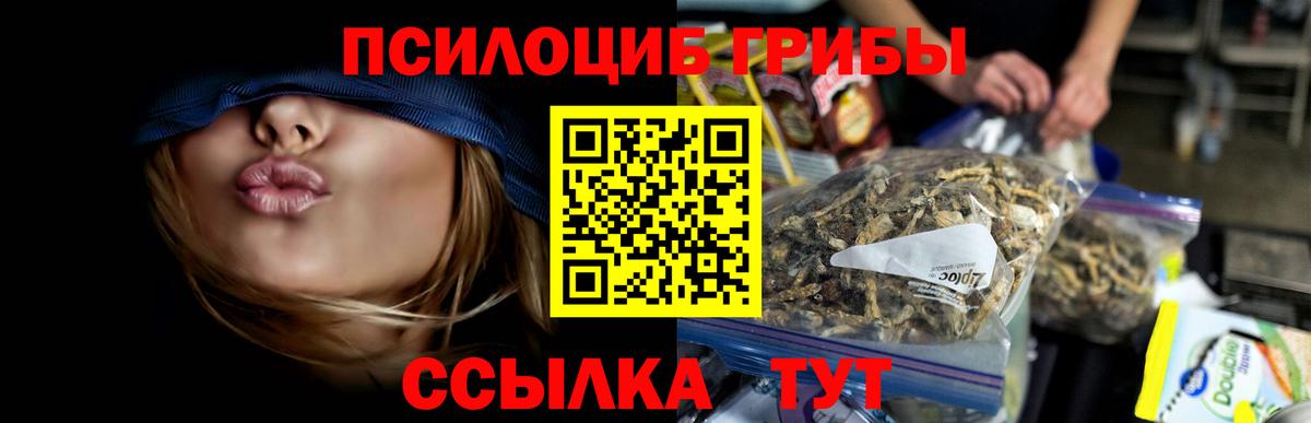 Галлюциногенные грибы Psilocybine cubensis Майкоп